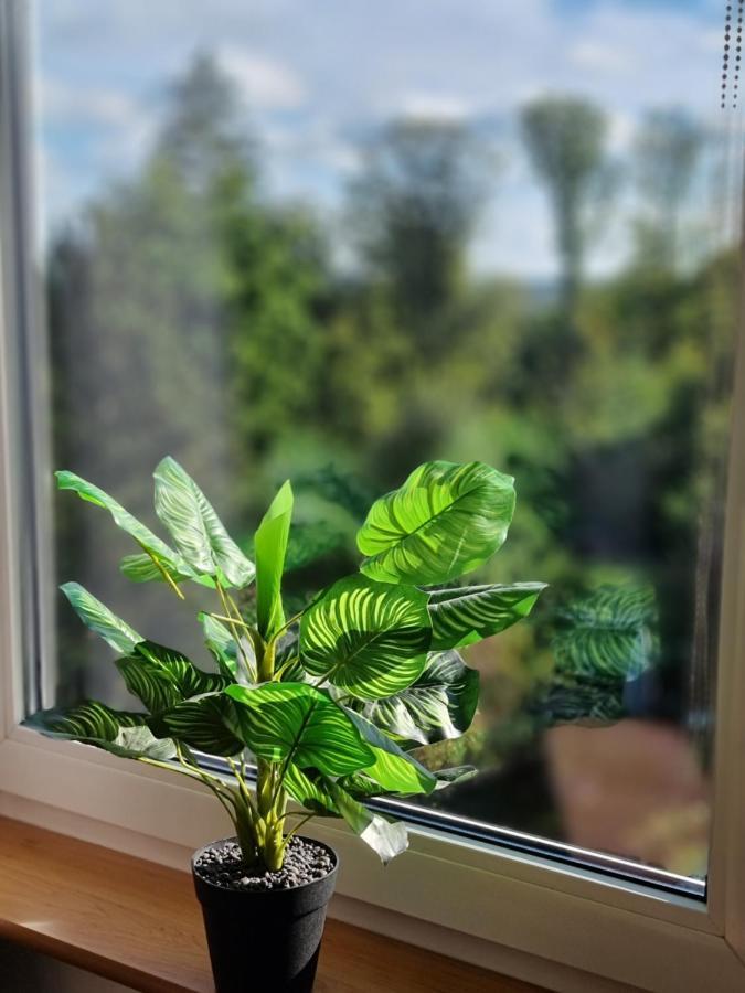 Sweet Home Wermelskirchen Bagian luar foto